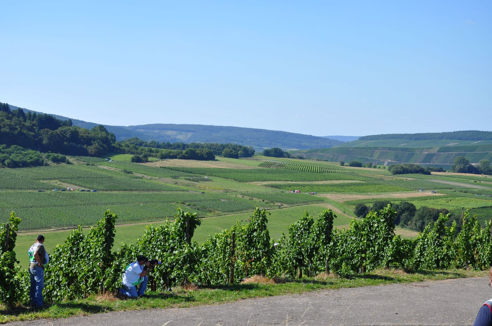 WRC-D 20-08-2010 198.jpg